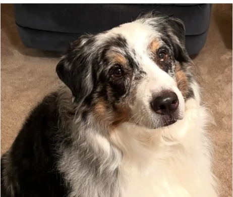 Samson